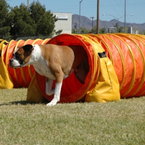Tunneling