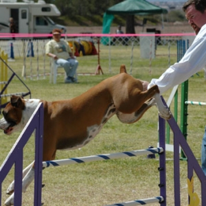 jump turn