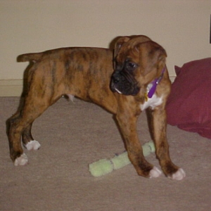 Winston standing
