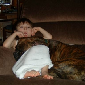 lapdog1