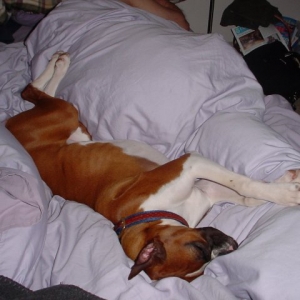 Sleeping Beauty