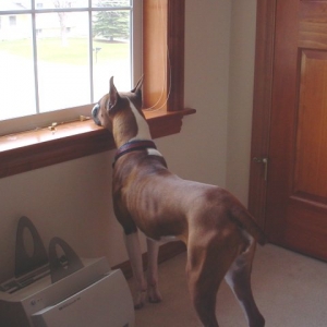 Looking Outside