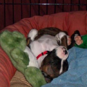 Pooped!