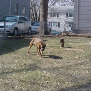 Play day