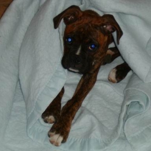 wrap me up