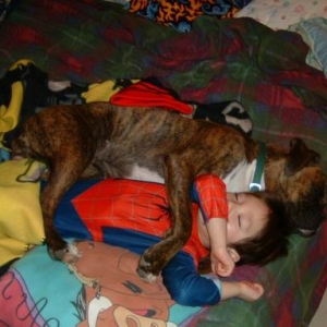 bed buddies