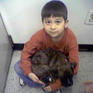 always be a lap dog