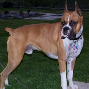 Tank at 2 years