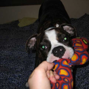 more playtime!