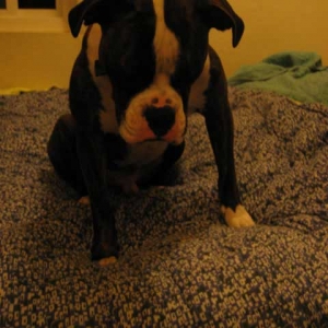 Toby looking dejected