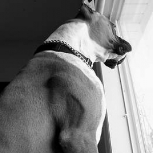 Waiting for Dad to come home