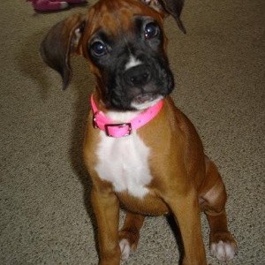 Miss Mia
