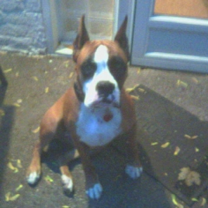 THE ONE & ONLY, BELLA LUNA