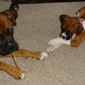 Mia & Lowla