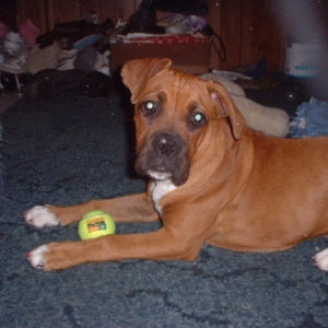 cant have my ball