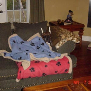 KatoInBlanket