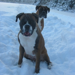 In winter