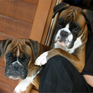 Jaffa and Ester
