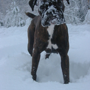 In winter