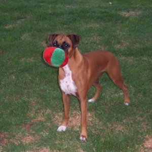 Brandy March 2005