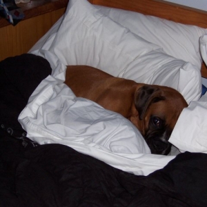 i love mummy's bed