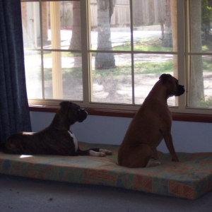Their window