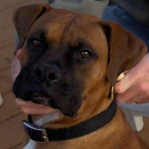Tyson