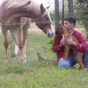 Maverick meeting his first horse