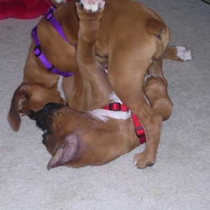 Maverick and Macie (his girlfirend)