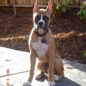 Handsome young man