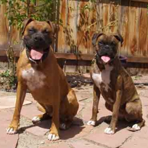 Gracie and Ty