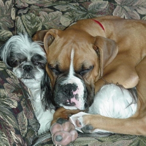 Payton N Mitzi sleeping