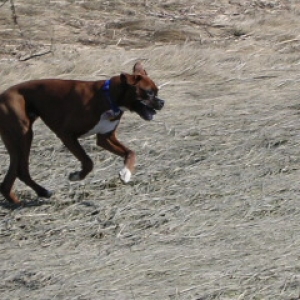 Running around