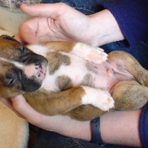 Meeting our sleepy baby at 4 weeks