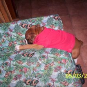 Ares had a hard day