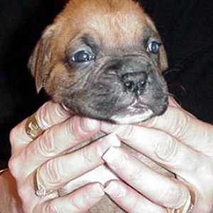 Addelaide at 3 weeks.