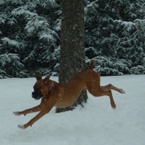Running In Snow