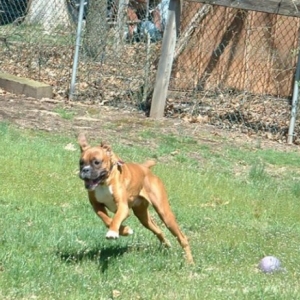 Running