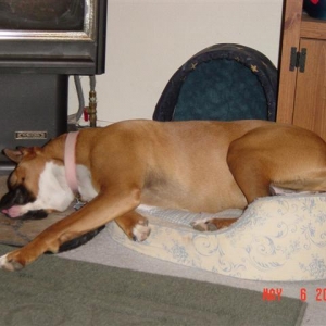 I've fallen and I can't get up!