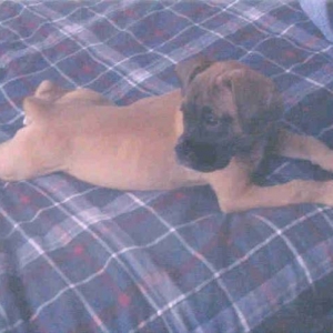 Layla stretching.