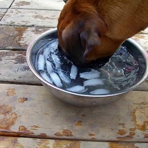 Bobbing for ice cubes