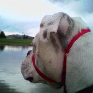 At the Pond