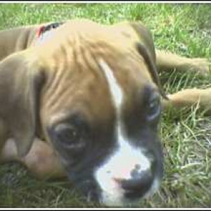 Please mamma, please!!!