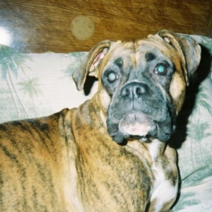 Here's Sadie!