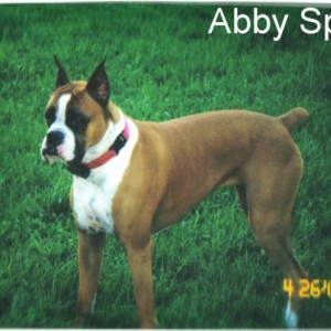 Abby