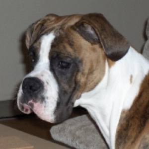 Diego 6 months
