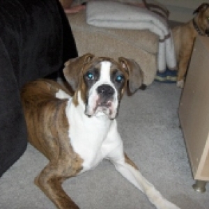 Diego 6 months