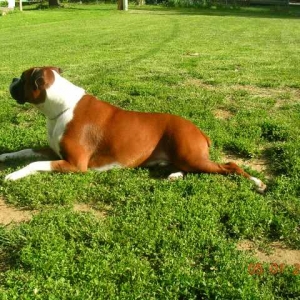 getting sun