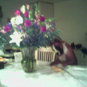 My flower!