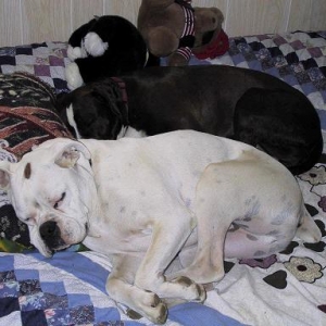 Curled Up Together